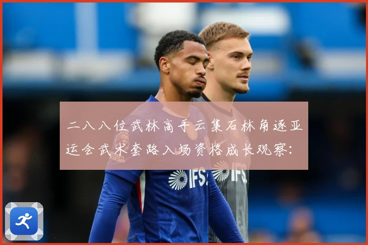 二八八位武林高手云集石林角逐亚运会武术套路入场资格成长观察：最新赛事动态与深度分析