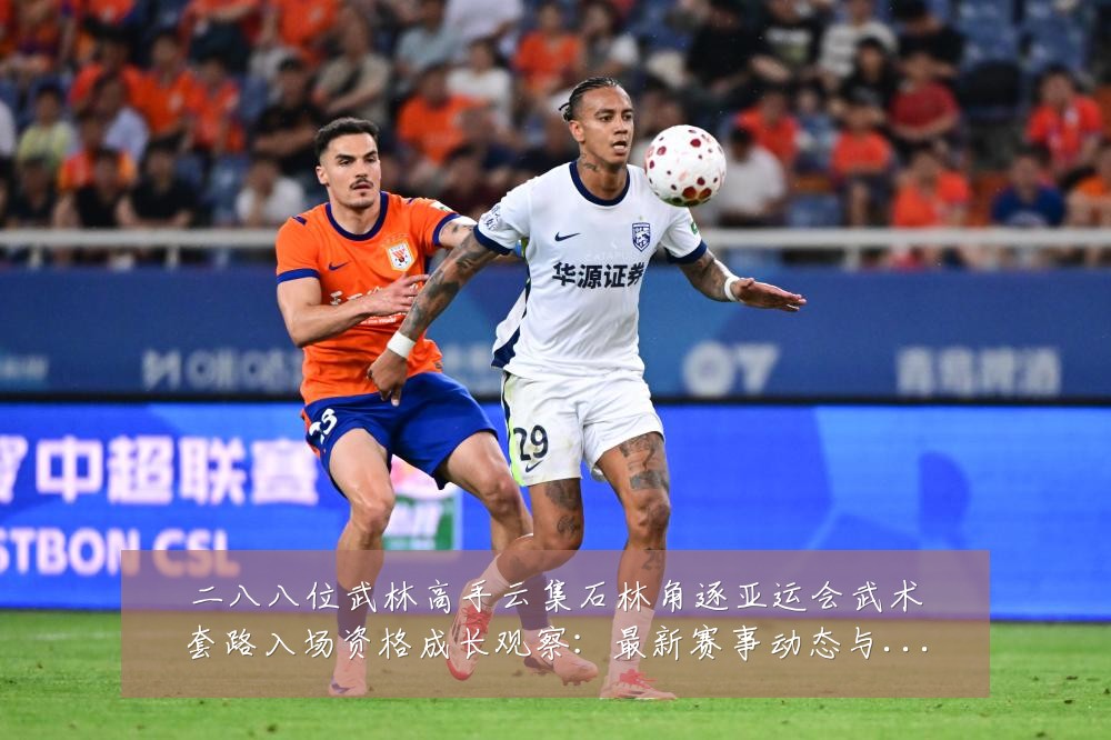 二八八位武林高手云集石林角逐亚运会武术套路入场资格成长观察：最新赛事动态与深度分析