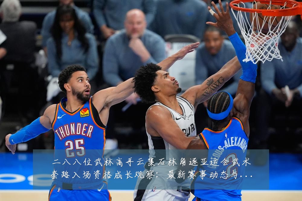 二八八位武林高手云集石林角逐亚运会武术套路入场资格成长观察：最新赛事动态与深度分析